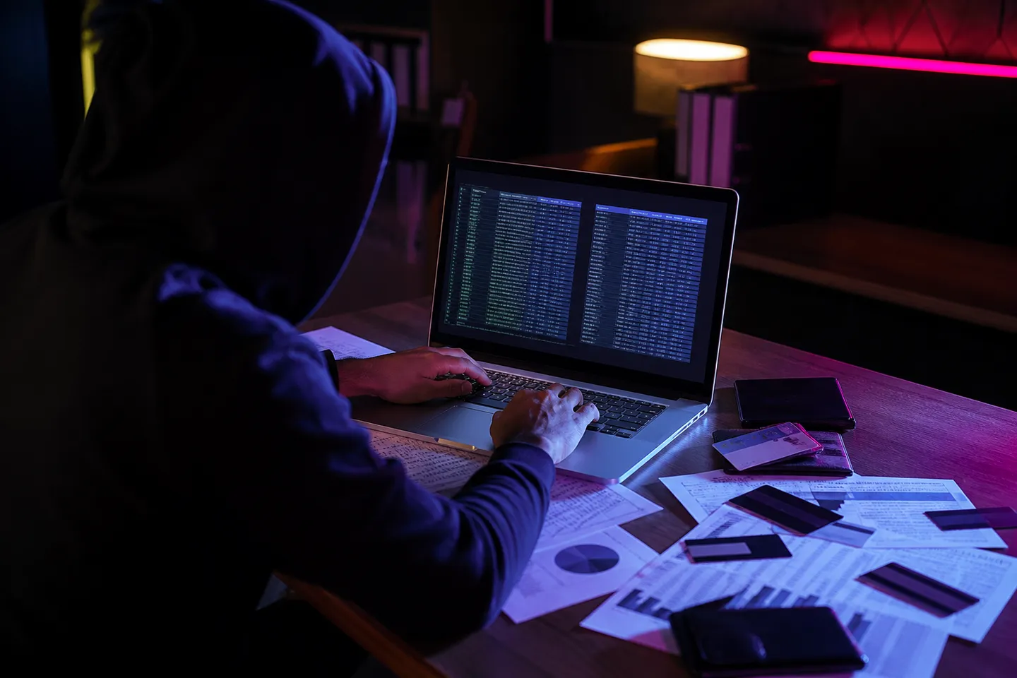 user analyzing stolen credit card data